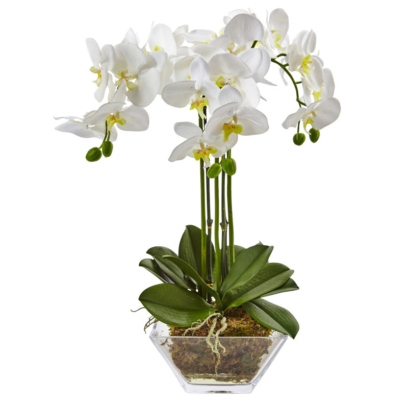 Nearly Natural Triple Phalaenopsis Orchid Floral Arrangements in